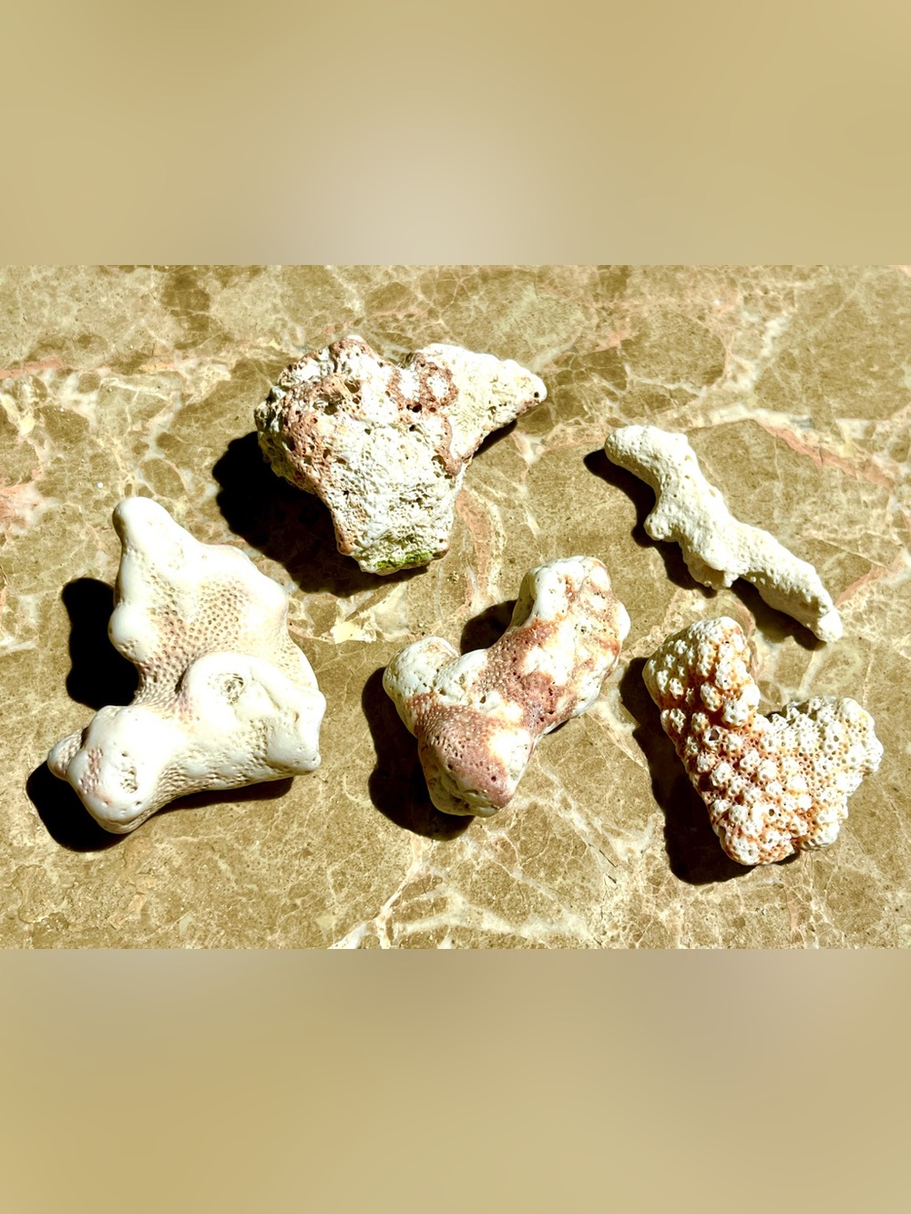 Natural Coral Pieces white peach pink lot of 5